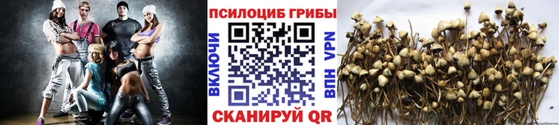где купить   Костомукша  Галлюциногенные грибы мухоморы 